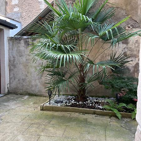 Cosy Appartement Hyper Centre Ville Avec Cour + Patio Auxerre Exterior foto